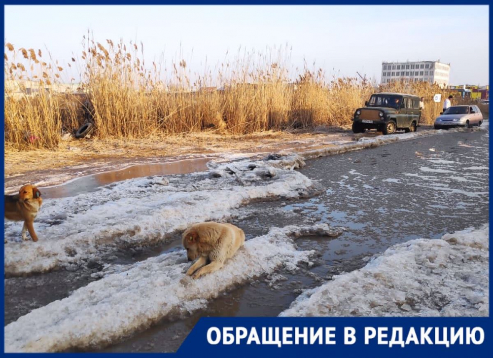 Что такое канализационный вердикт