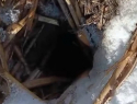 В Астраханской области из-под земли выпрыгнуло нечто пушистое и с зубами