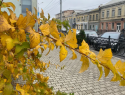 На астраханском рынке труда наступил высокий осенний сезон