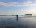 В Астрахани заявили о падении уровня Каспийского моря