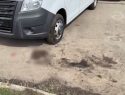 Судмедэксперты изучили тело астраханки с укусами собак и установили причину ее смерти