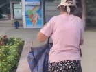 Расхитительница астраханских клумб: бабуля попалась на вандализме