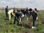 В Астрахани планируют завершить работы по озеленению до 1 мая 