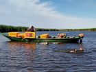 В охотничьи угодья Астраханской области выпустили 200 уток