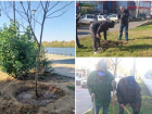 За два дня в парках Астрахани высадили полтысячи кустарников и деревьев