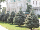 Прогноз погоды, именины, праздники в Астрахани 27 сентября 