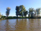 В Астраханскую область по особой просьбе стали пускать больше воды