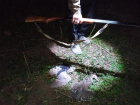 Под Астраханью охотник застрелил запрещенных к добыче птиц