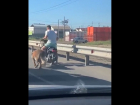 Астраханец ехал по трассе на мопеде и тащил собаку за собой на привязи 