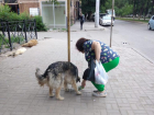 Астраханцы предложили ввести наказание за кормление бродячих собак