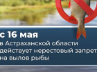 Губернатор призвал астраханцев соблюдать нерестовый запрет