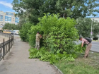 Астраханские коммунальщики освобождают дорожные знаки, утонувшие в листве