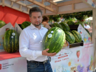 Астраханские селекционеры вывели новые сорта арбузов