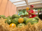 В Астрахани 30 июля состоится фермерская ярмарка