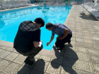 В Астрахани председателю спасательной организации назначили срок за смерть ребенка в бассейне