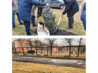 Астраханцы не смогут поводить хоровод вокруг посаженной губернатором елки