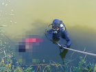 Мертвого жителя Калмыкии нашли в оросительном канале под Астраханью