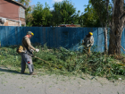 Астраханцев призвали косить сорную траву ради безопасности