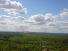 В Астрахани спасать лес от пожаров будет «Лесохранитель»