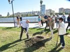 В Астрахани на Аллее семьи высадили 50 новых деревьев