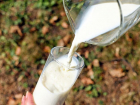 В Астрахани продают очень редкое молоко