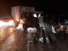 На дороге «Астрахань – Евпраксино» произошло массовое ДТП из-за сбитой коровы
