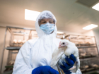 В Астраханской области обнаружен очаг птичьего гриппа