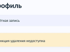 Астраханцы больше не смогут удалить профиль на Госуслугах онлайн