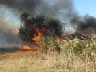 МЧС предупреждает о чрезвычайной пожароопасности в Астраханской области