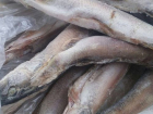 Икрянинский предприниматель хранил три тонны рыбы неизвестного происхождения 