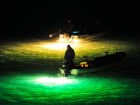 За ночную рыбалку без лицензии астраханская рыбопромысловая организация заплатила почти 5,5 миллионов