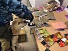 Астраханские таможенники задержали волгоградских контрабандистов с наркотиками из Испании