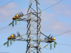 В Астраханской области поставят устройства для защиты птиц на линиях электропередач 