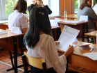 В Астрахани ОГЭ по французскому языку сдаёт только один девятиклассник