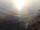 В Трусовском районе Астрахани акваторию Волги загрязнили нефтепродуктами