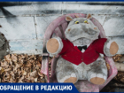 На астраханский детский центр развития Little Boss пожаловались в прокуратуру и СК