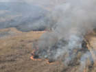 «Жги не хочу»: астраханский заповедник вновь страдает от природных пожаров