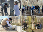 В Астрахани около 700 горожан и чиновников вышли на «Этно-субботник» и другие акции чистоты
