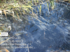 Владельца трубы на ерике в Астрахани обяжут возместить экологический ущерб
