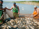 В Астрахани закрывают въезд для рыбаков и охотников 