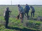 В Астраханской области высадили лес
