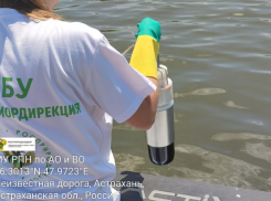 Росприроднадзор: в Астрахани на Волге растеклись нефтепродукты на 60 000 «квадратов»