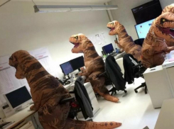 Астраханцам тяжело найти общий язык с программистами и бухгалтерами