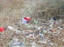 Росприроднадзор потребовал устранить свалки на десяти улицах Астрахани