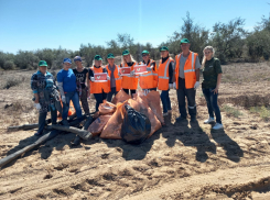 Сотрудники ПривЖД приняли участие в экологическом десанте вблизи Астраханского государственного заповедника