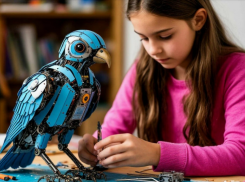 Астраханский госуниверситет готовит школьникам Таджикистана Дни робототехники