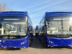 В Астраханскую область поступили последние 65 из 94 автобусов по нацпроекту