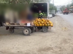 В Астрахани полицейские провели рейд по уличным торговцам-нарушителям