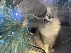 Погода, праздники, именины в воскресенье 31 декабря 