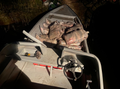 В Астраханской области борются с незаконной ловлей рыбы